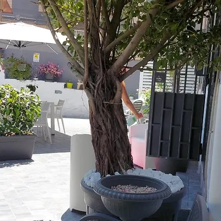 Apartment Il Borghetto House Brown *