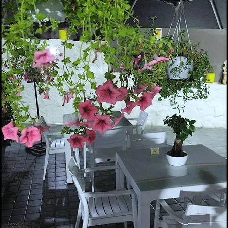 Apartment Il Borghetto House Brown *